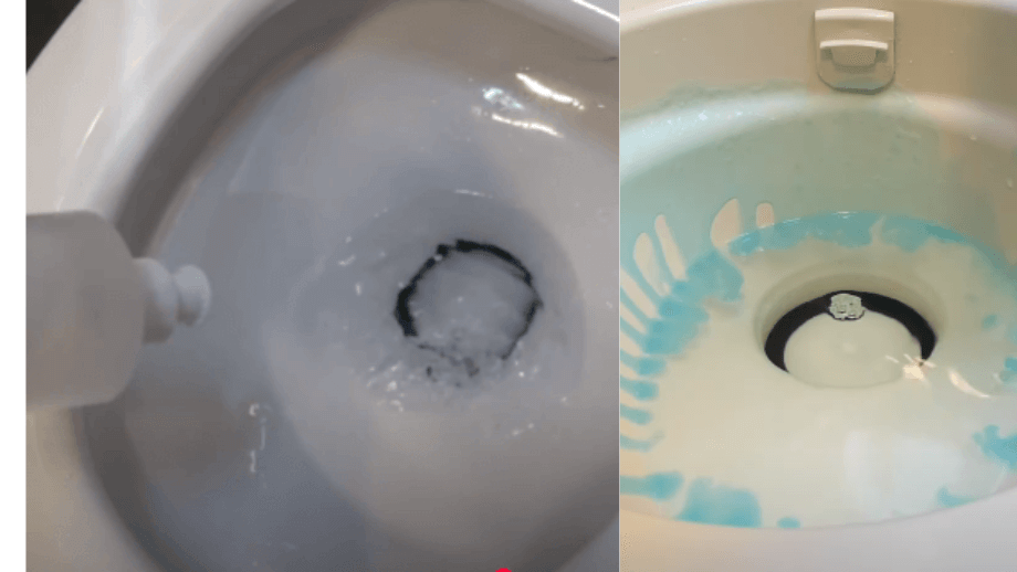 Steps to Clean Your RV Toilet 2